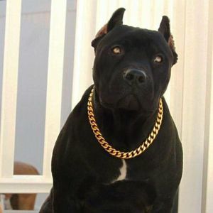 Meet your Posher, Drbeats